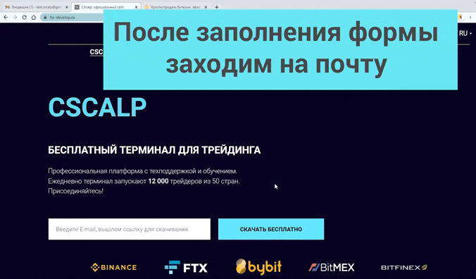Скачайте и установите CScalp